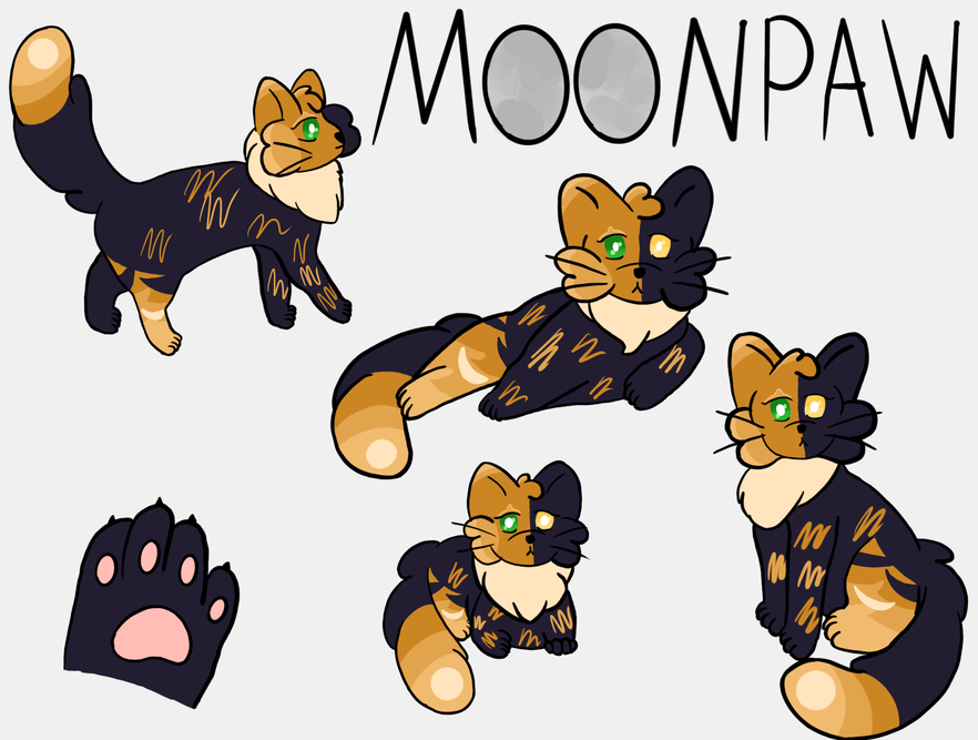 FoxFire – Favorite apprentice challenge