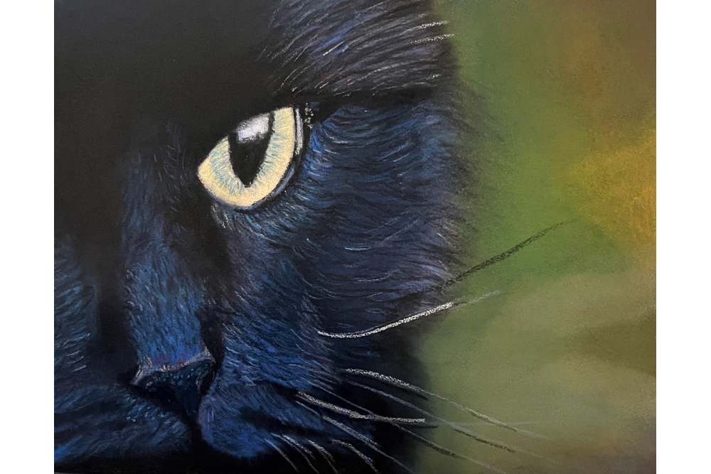 Frecklebean – Favorite apprentice challenge