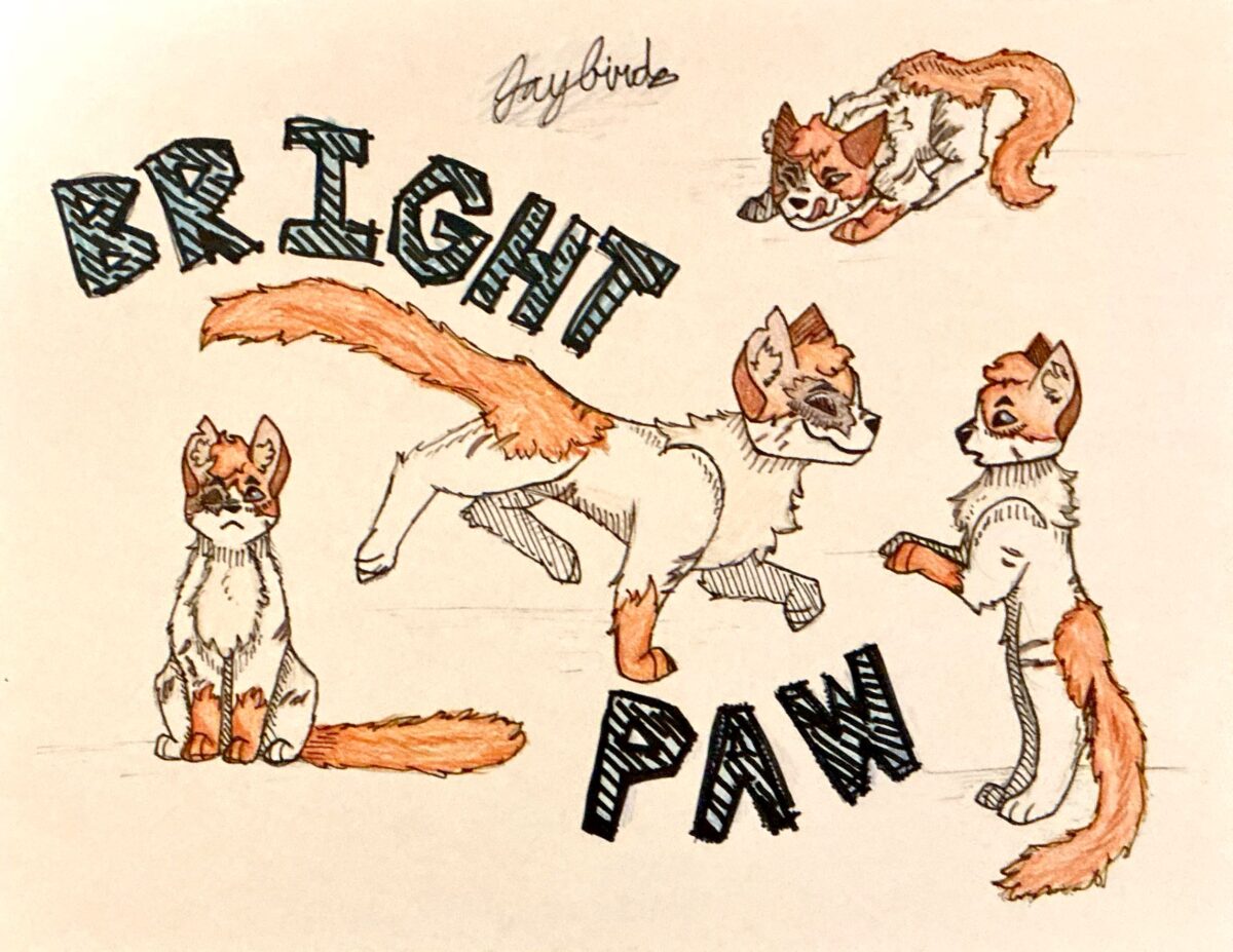 Matilda – Favorite apprentice challenge