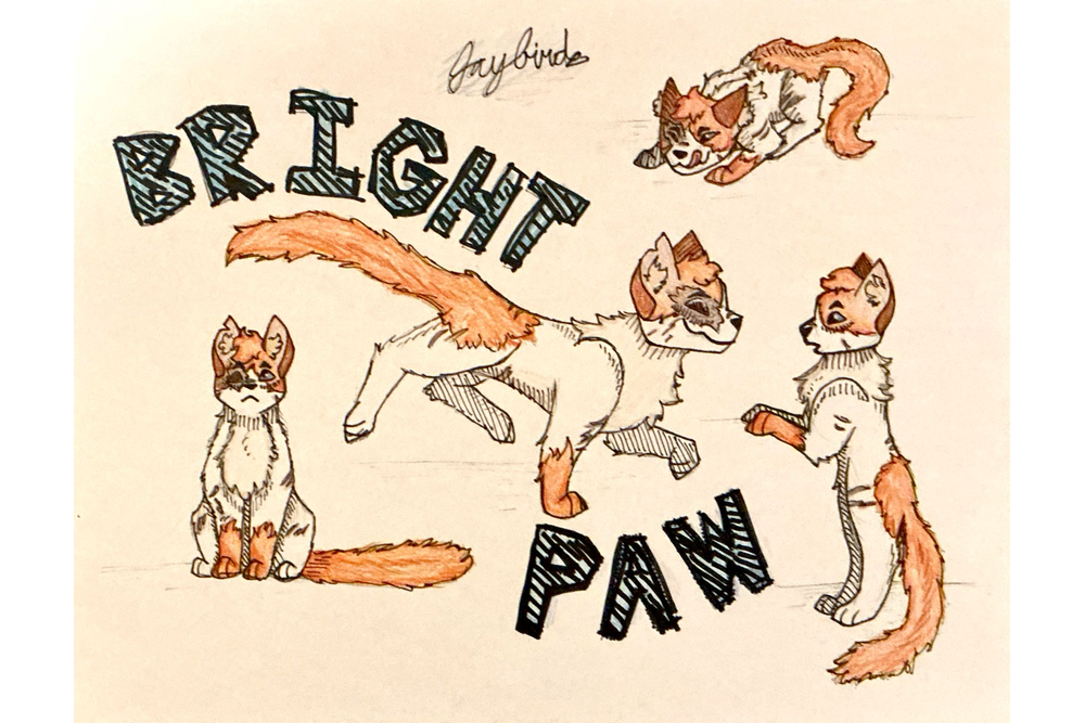 JayBird. – Favorite apprentice challenge