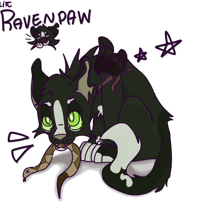 Frecklebean – Favorite apprentice challenge