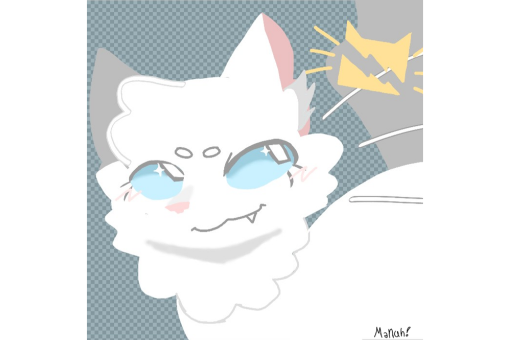 Manuh – Favorite apprentice challenge