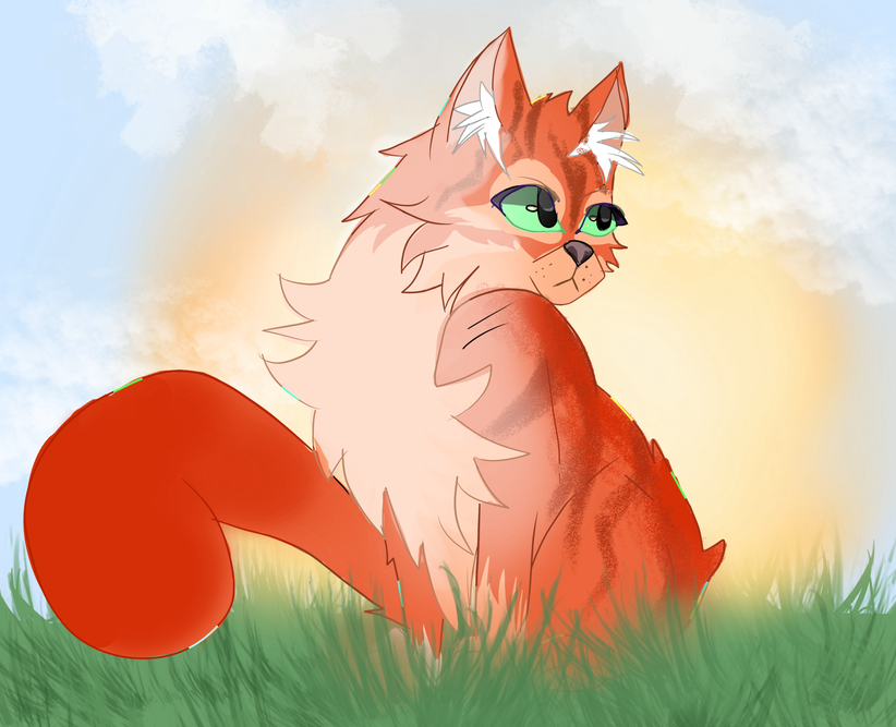 Scorch.furz – Favorite apprentice challenge