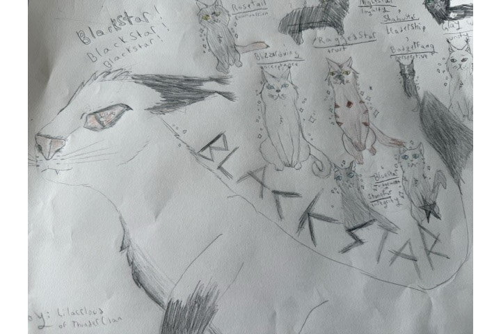 Ada V. – Nine lives challenge