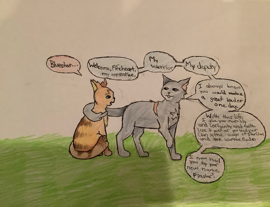 Bolide – Nine lives challenge