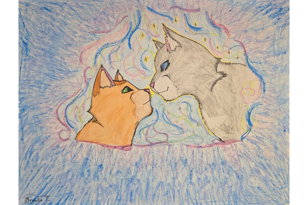 Brooke – Nine lives challenge