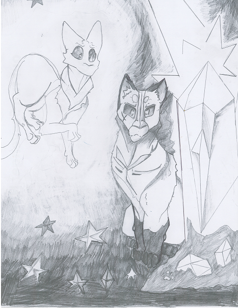 Nine lives challenge winners