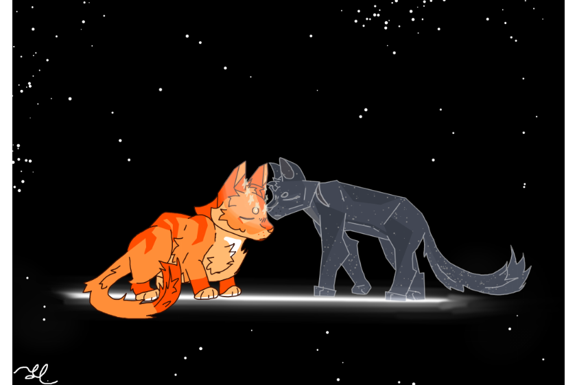 DeerCreek – Nine lives challenge