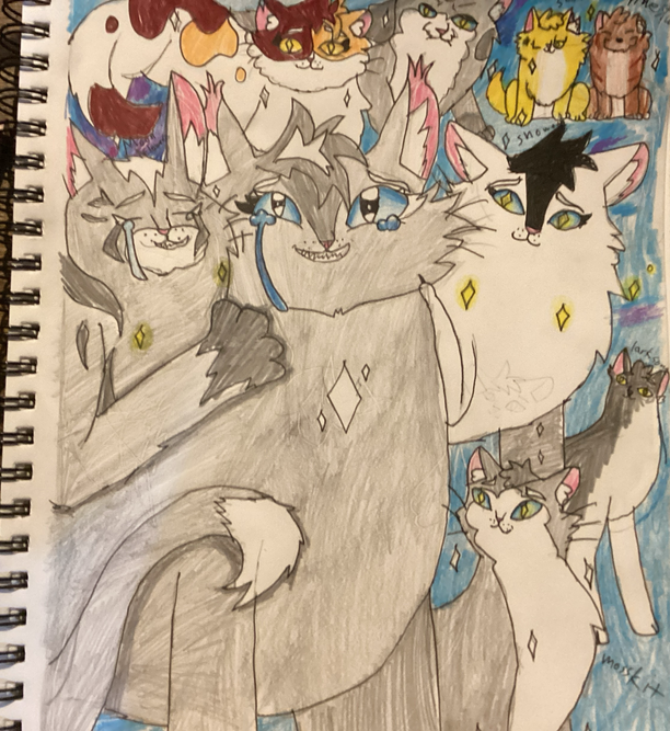 StarletteOwO – Nine lives challenge