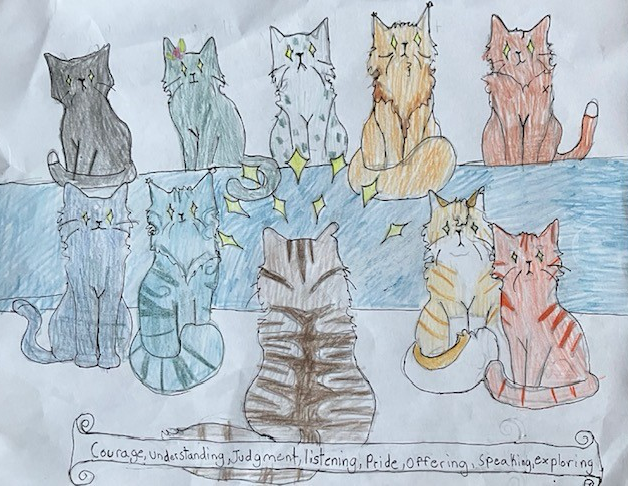 Harry – Nine lives challenge