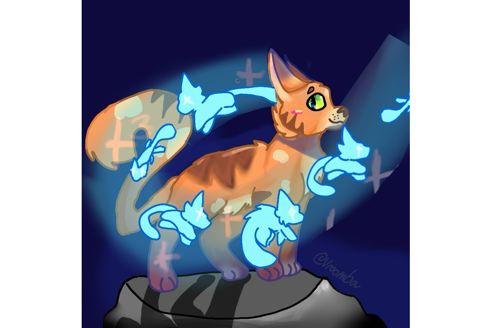 sparrow – Nine lives challenge