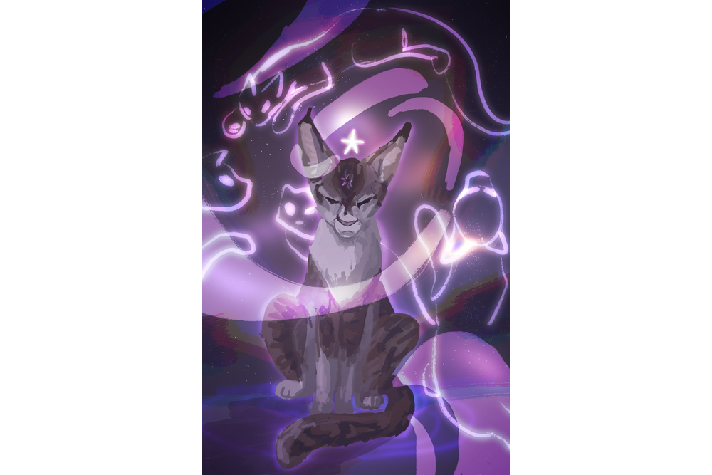 Conifersketch – Nine lives challenge