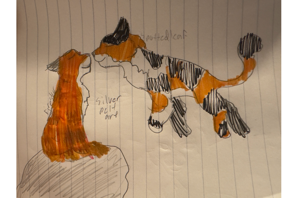 Morgan – Nine lives challenge