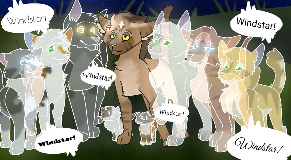 Sillykitty – Nine lives challenge