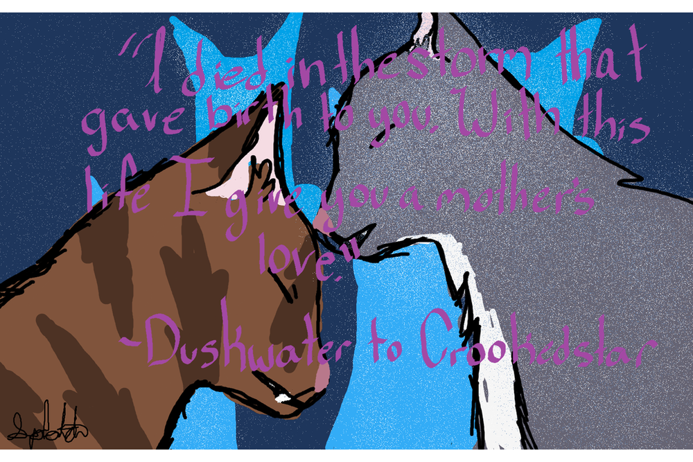 Splotch – Nine lives challenge