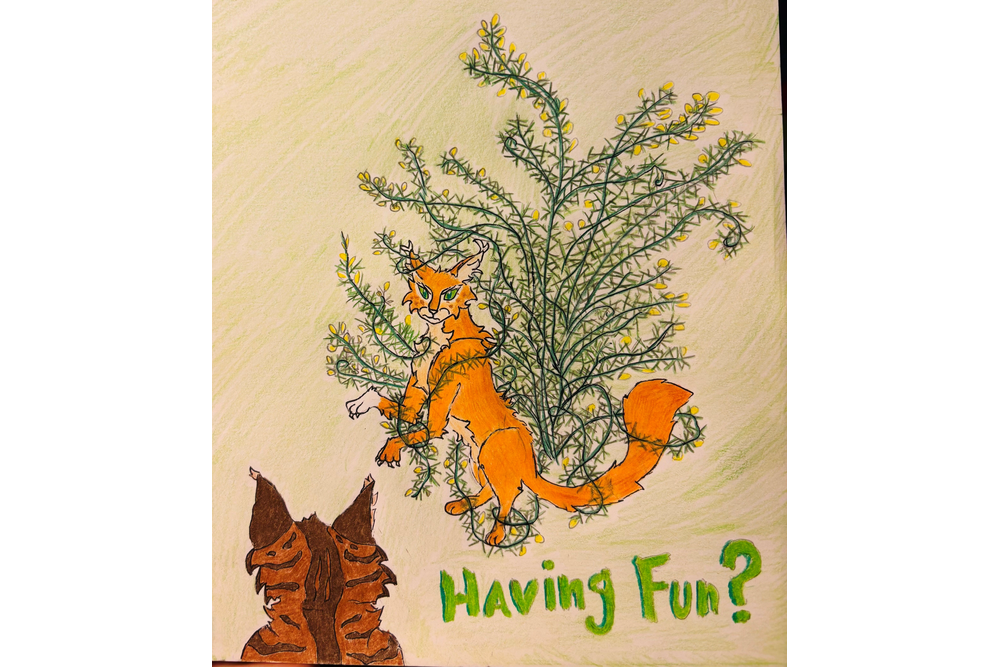 Featherfoot – The New Prophecy challenge