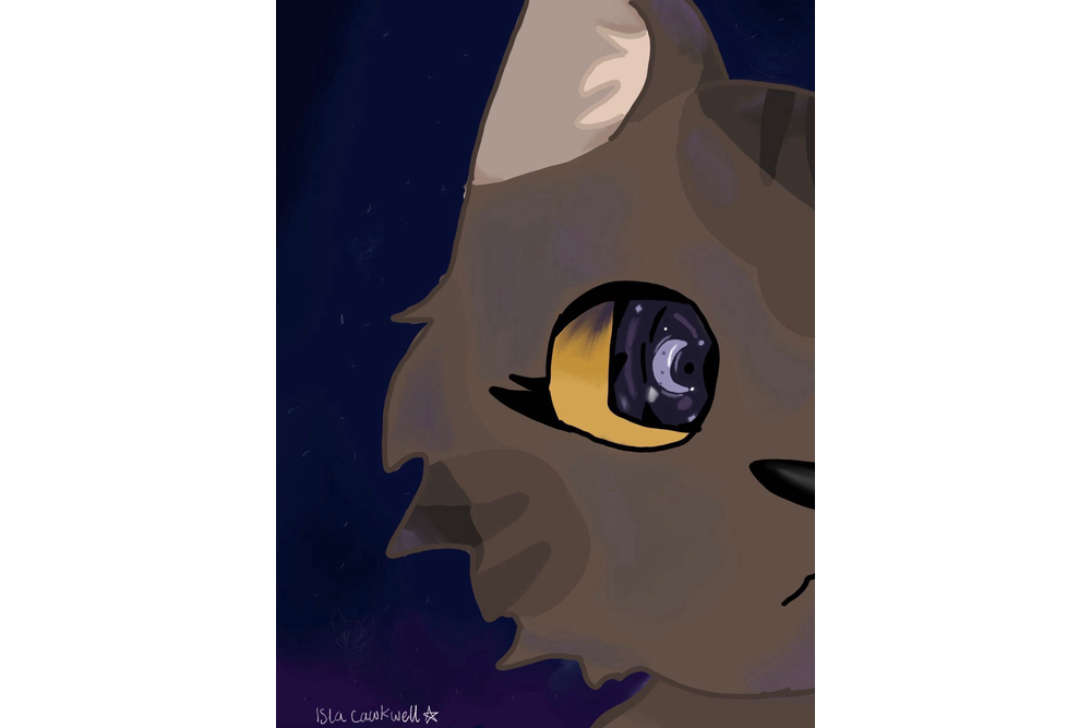 Isla – The New Prophecy challenge