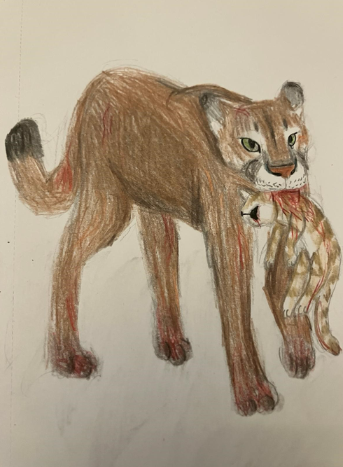 Silver – The New Prophecy challenge