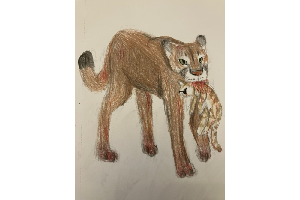 Juno – The New Prophecy challenge