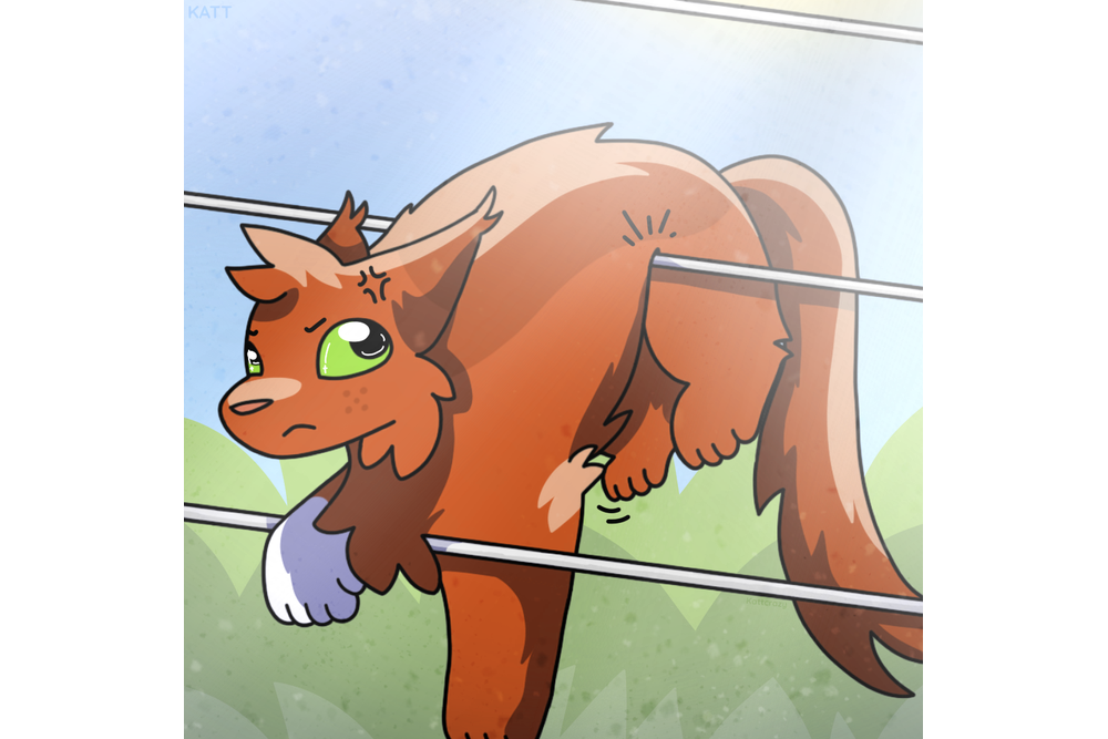 Kattcrazy – The New Prophecy challenge