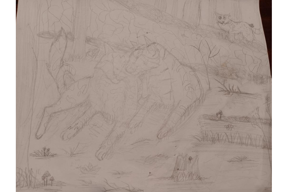 Kaylynn – The New Prophecy challenge