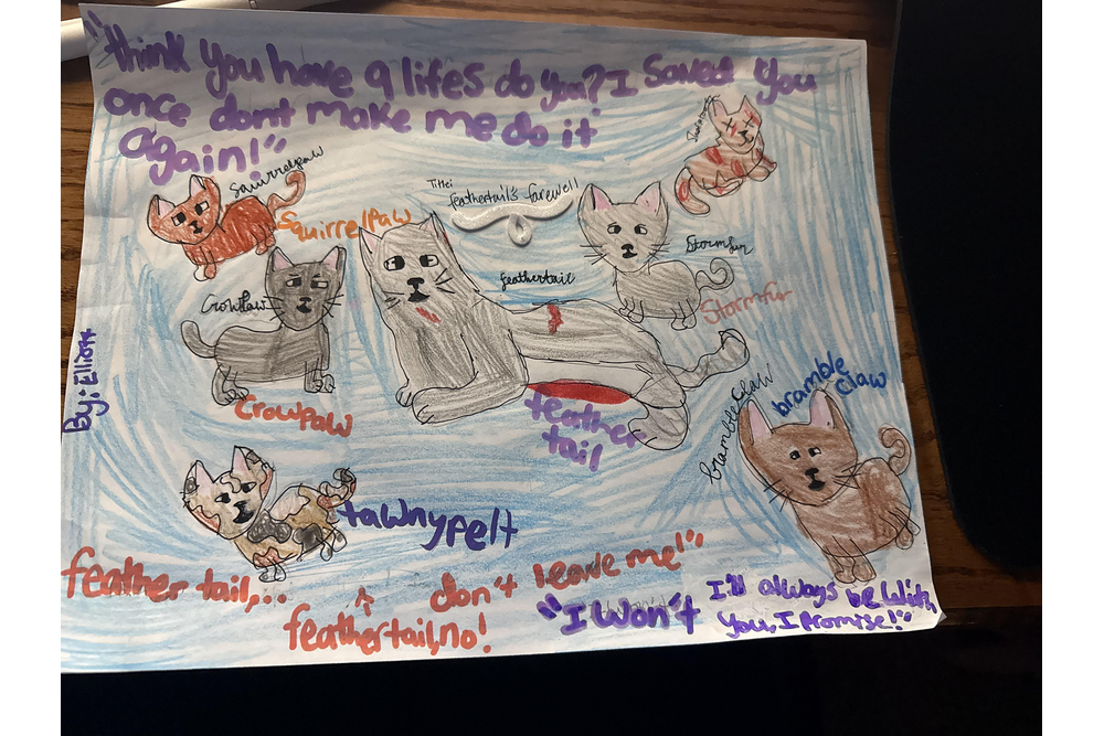 Lilyspark – The New Prophecy challenge