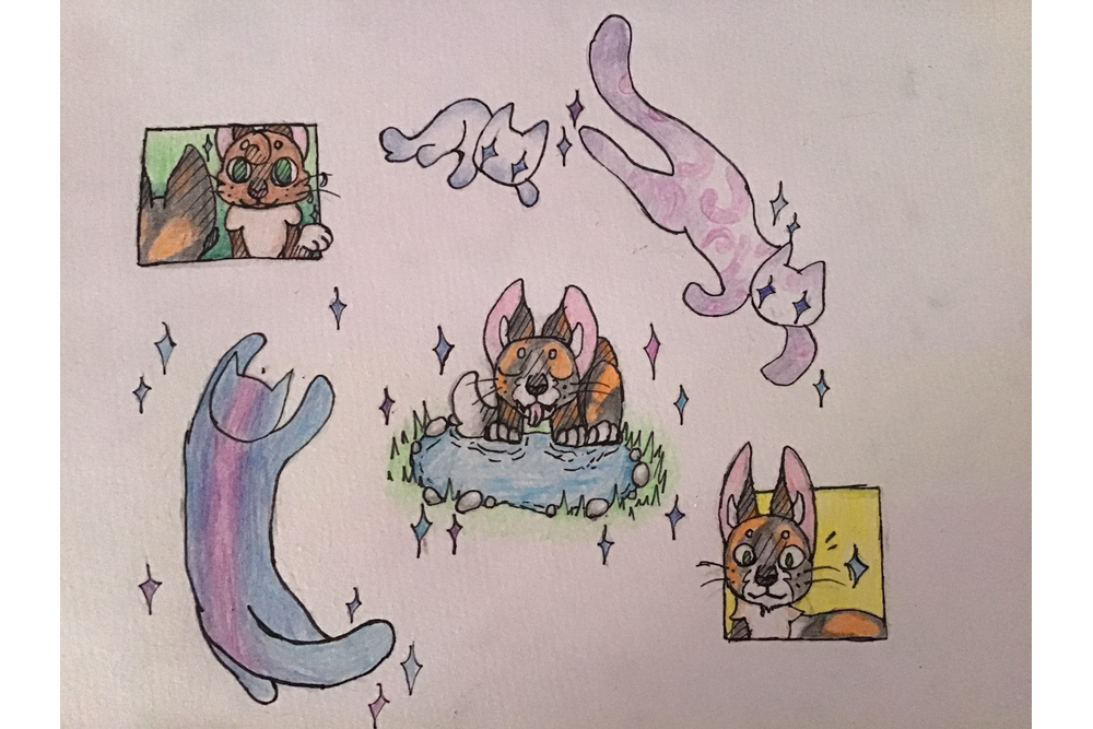 Pusty – The New Prophecy challenge