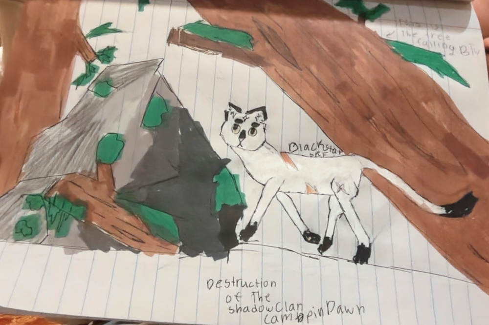 Pebblepuddle – The New Prophecy challenge