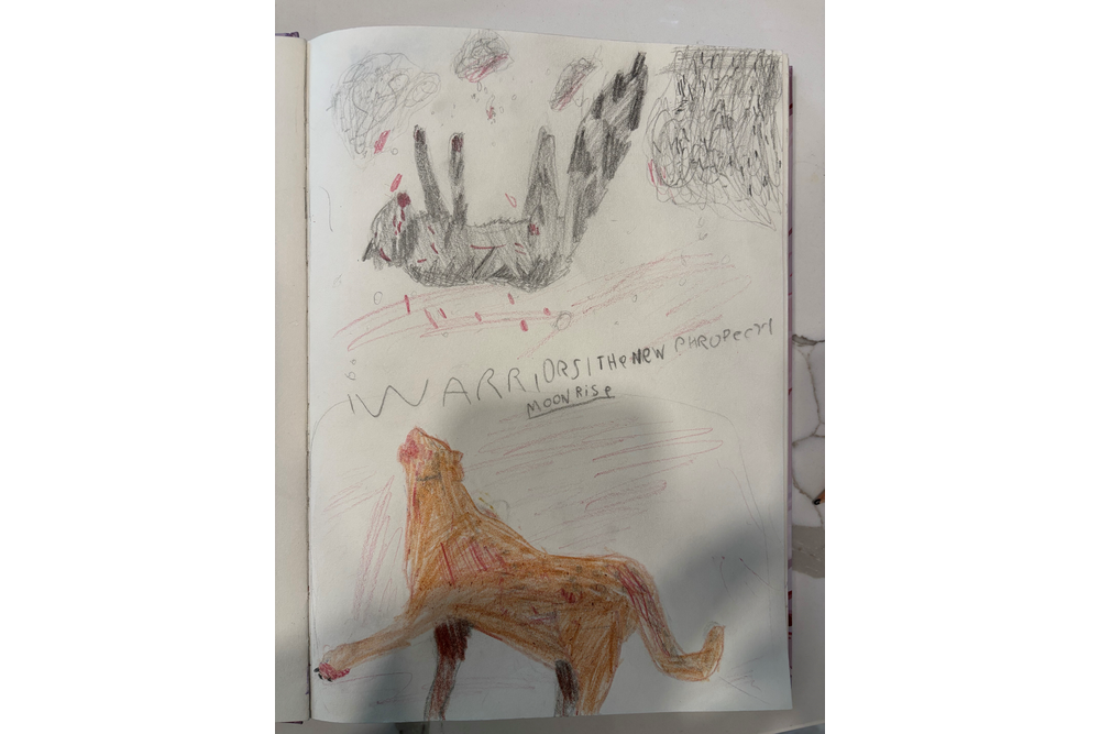 Silver – The New Prophecy challenge