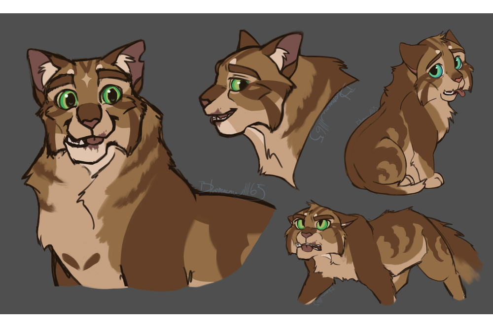 bluemacaw11165-tumblr