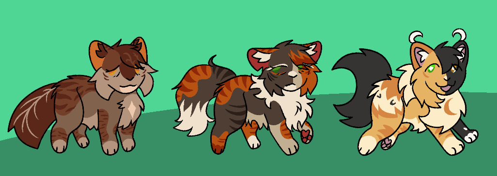 2026: The year ahead in Warrior Cats