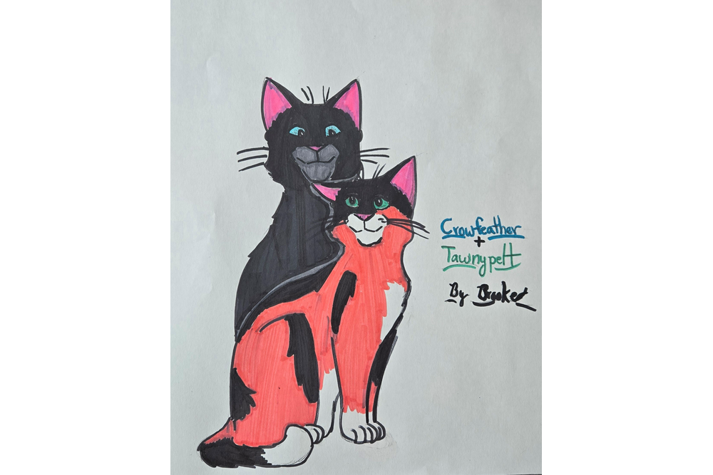 Brooke – What-if couple challenge