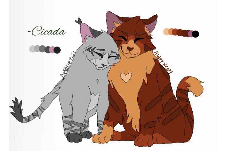 Cicada – What-if couple challenge