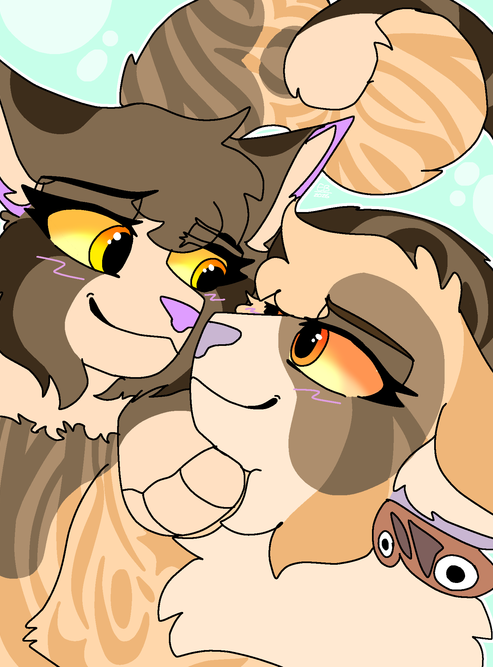 SAR – What-if couple challenge