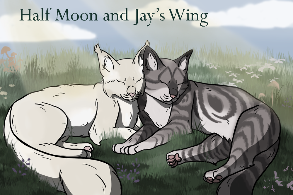 FallenRain – What-if couple challenge