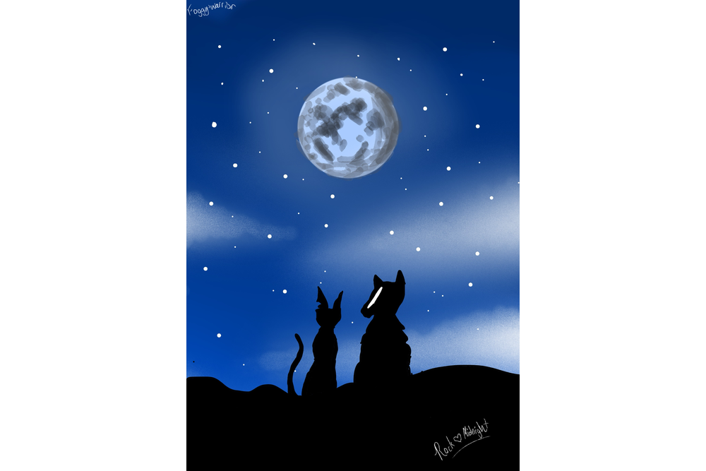 Foggy’warrior – What-if couple challenge