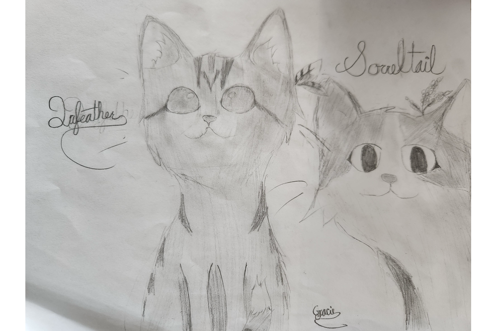 Gracie – What-if couple challenge