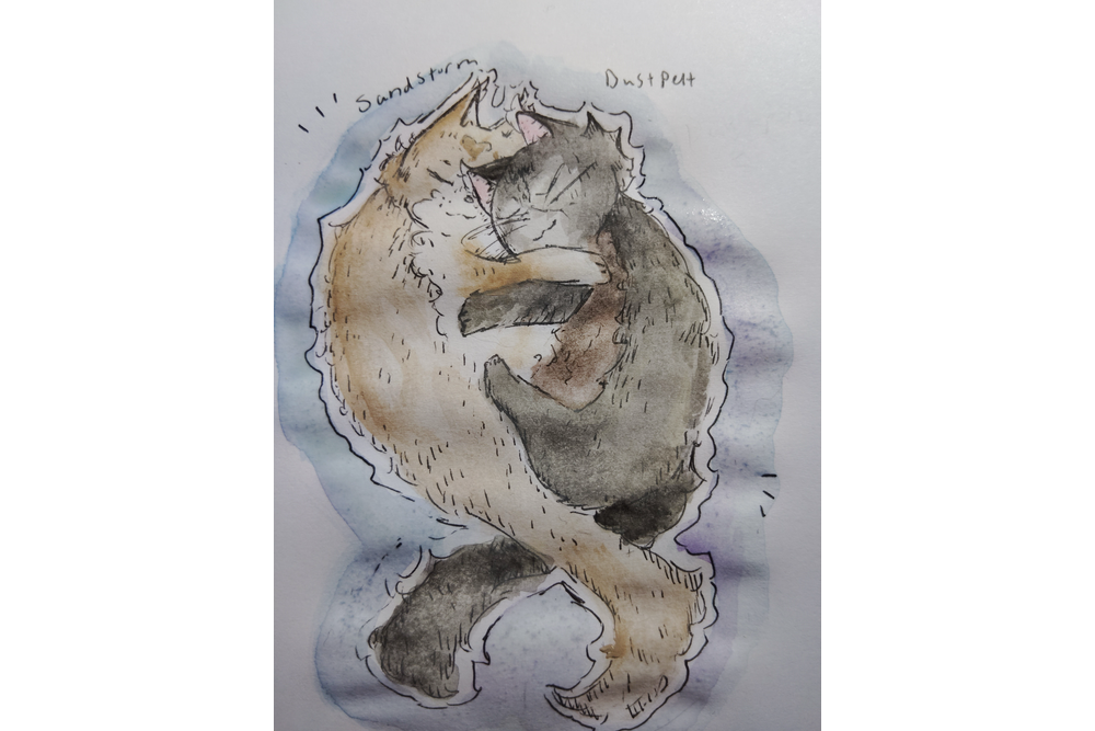 N. Louise – What-if couple challenge