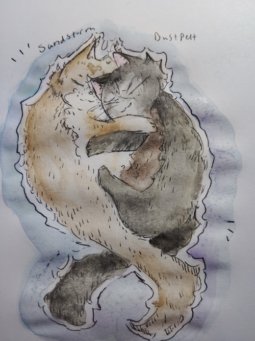 ashryncrowe – What-if couple challenge