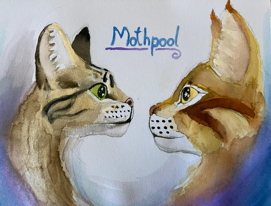 Gracie – What-if couple challenge