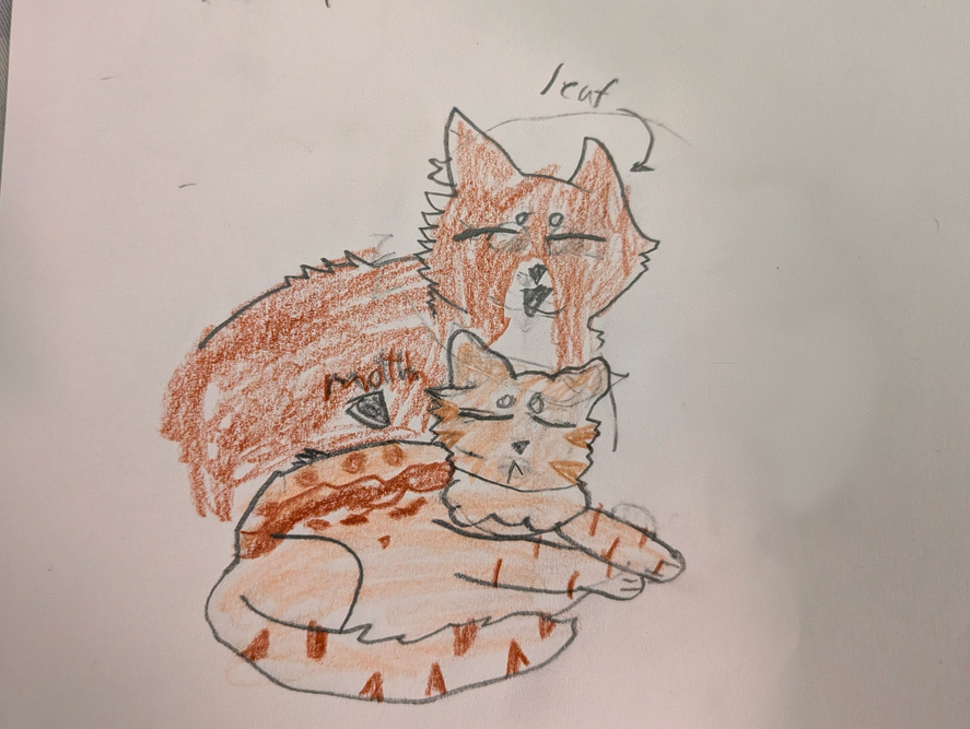 Macy – What-if couple challenge