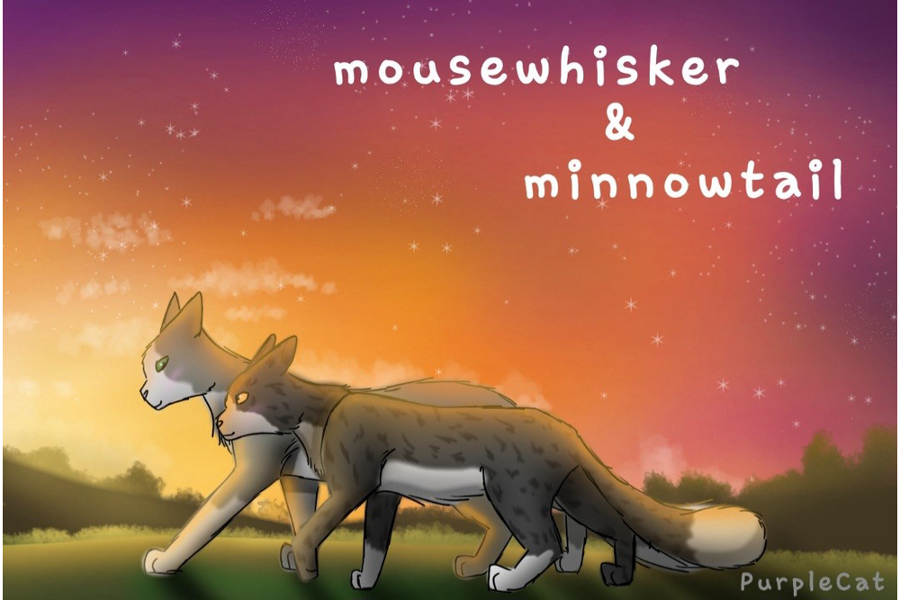 PurpleCat – What-if couple challenge