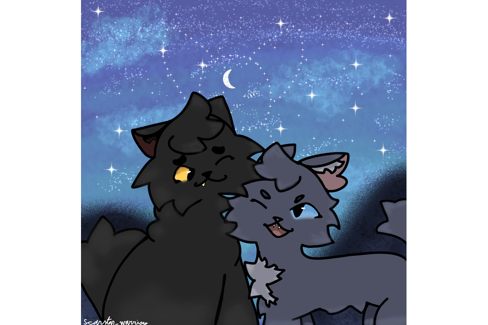 Scarstar_warriors – What-if couple challenge