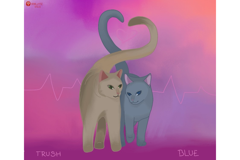 StarletteOwO – What-if couple challenge