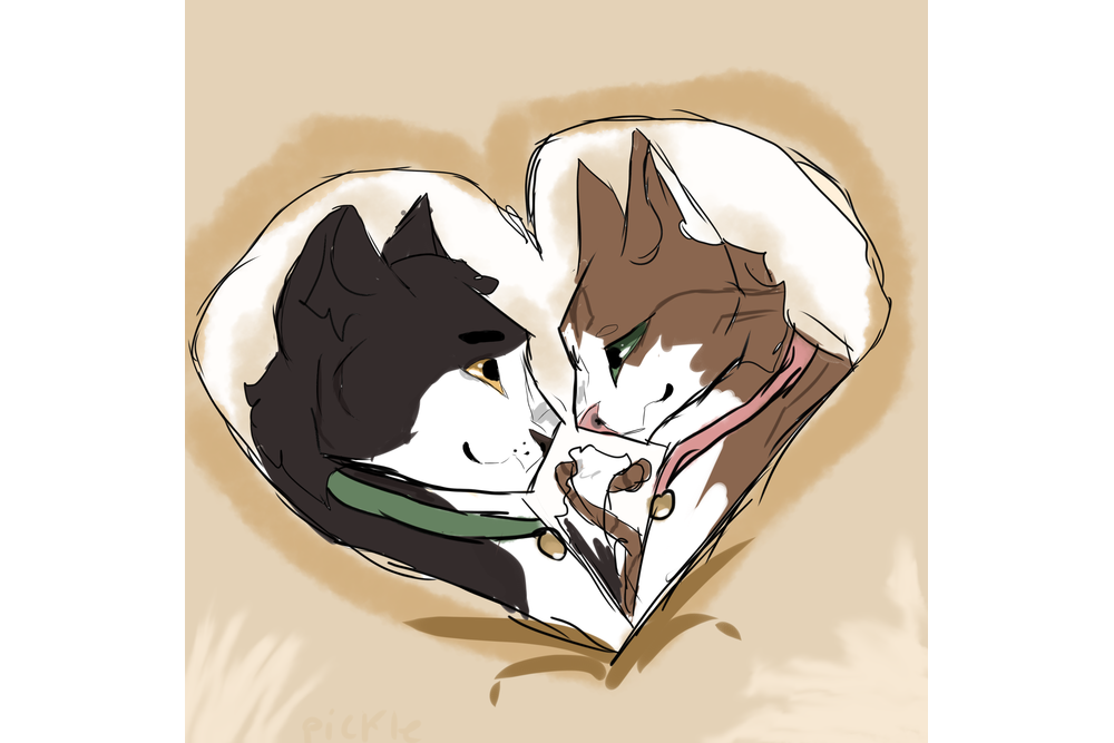 pickle – What-if couple challenge