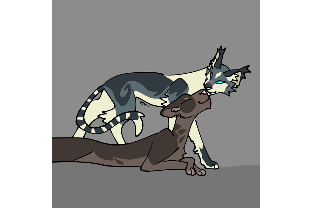 the_sofi_life_ – What-if couple challenge