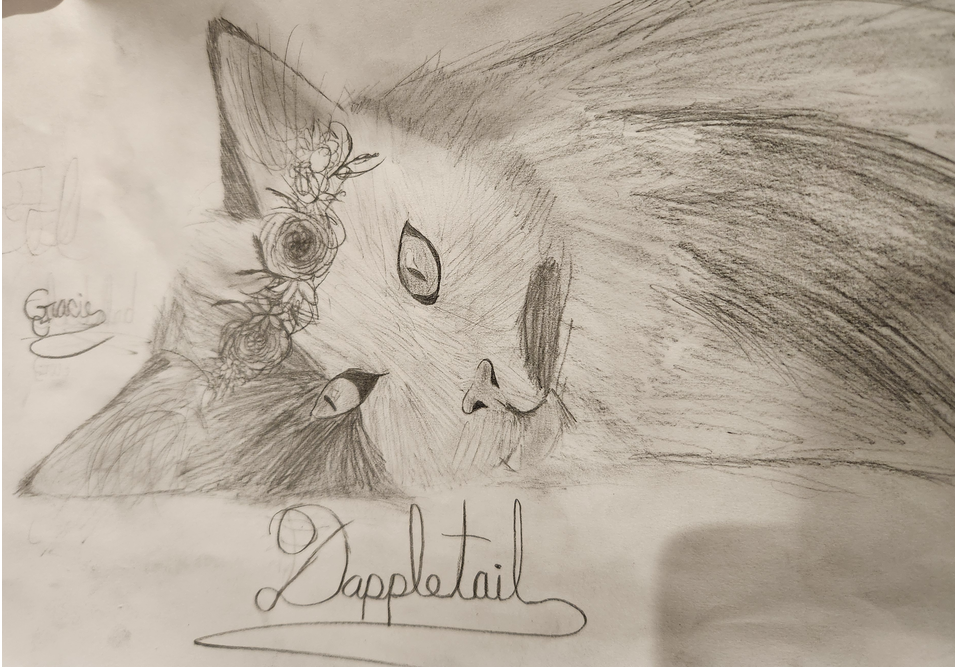 Borta the cute – Favorite elder challenge