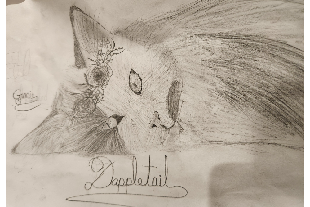 ABowlOIceSalad – Favorite elder challenge