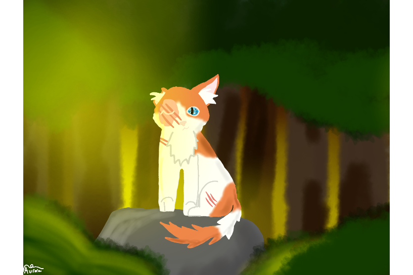 Aurora – Favorite elder challenge