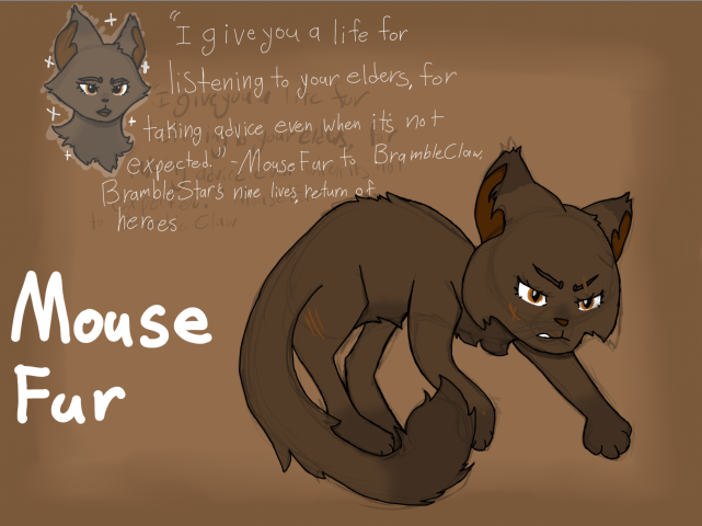 Xena – Favorite elder challenge